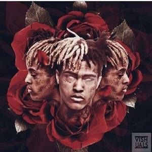 Meet your Posher, Seth